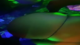 Encoxada stripper part 1
