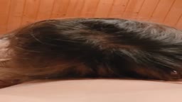 なかだし