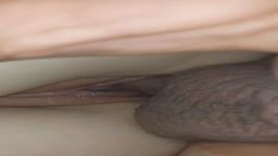 Pussy 18