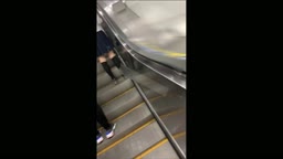 うしろから