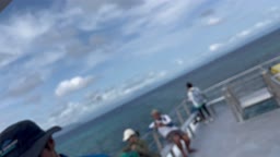 海