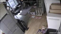 ip13