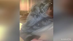 Tiktok 刺青2