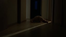 Harunoko オナニー