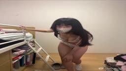 6637