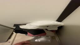せんた