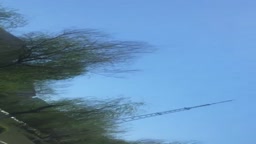 Cum hair