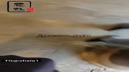 Cum compilation 2