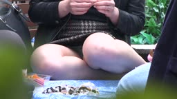 パンチラ