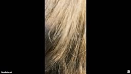フクロウカラー化　おすすめ