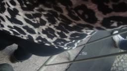 encoxada no2