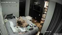 IPcam lesbian