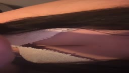 通話