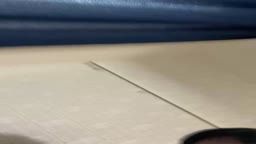 はめ