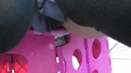 コスプレイヤー