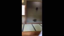 「個人撮影」hitomiを抱いてみた