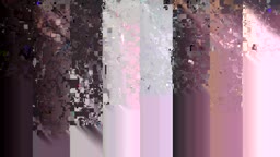 ANKK 146 ひびき