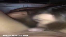モデルハメ