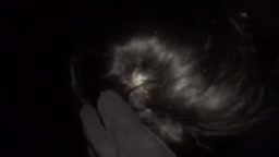 ハメ撮り