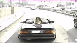 高速道路の非常駐車帯でフェラ抜き
