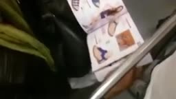 Secret Bulge Touch