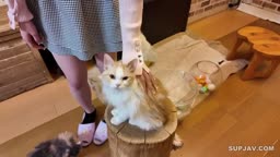 個人、フレンド用