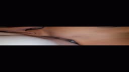 Slp