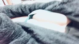 htpp