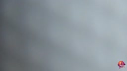 PP_048