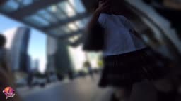 PP_061