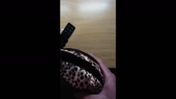 (拾い)  い〇うとのヒョウ柄パンティに大量中出し