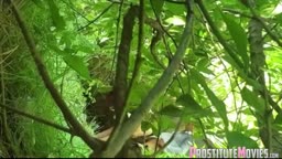 Having sex in the woods with a neighbor