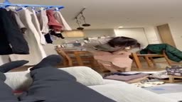 家庭内日常