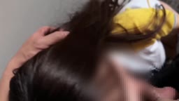 Tier