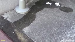 野外放尿