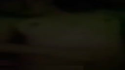 雑炊