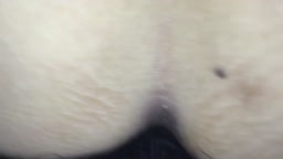 挿入射精　8回