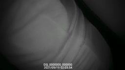 encoxada tight leggings loves to grind