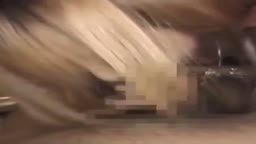 ギャルのフェラチオ