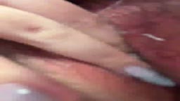 保存用