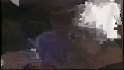 野外