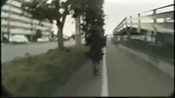 野外