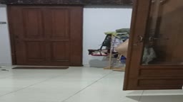 voyeur