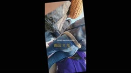 Encoxada Dickflash cum candid