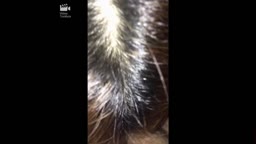 ギャルママさん　オナニーの手伝い
