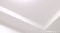 🐱