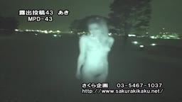 サンプル