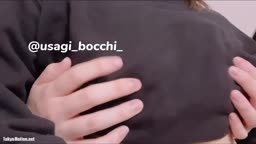 usagi