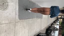 MAR294