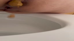 せふれ